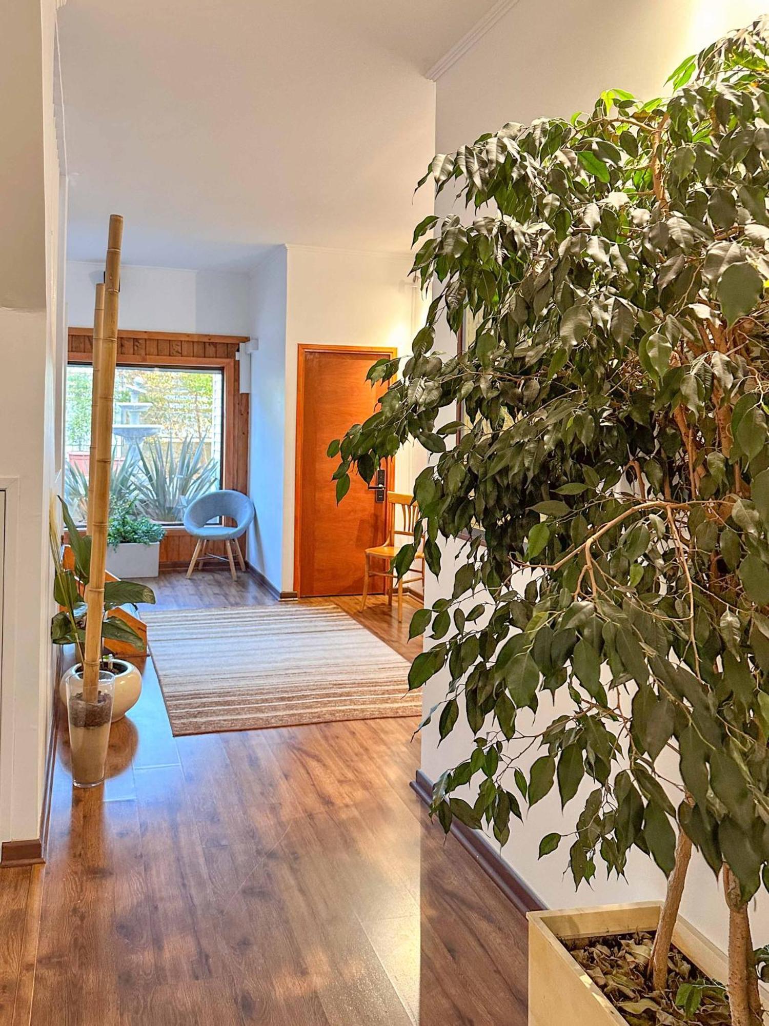 Kai Bed And Breakfast Algarrobo Ngoại thất bức ảnh